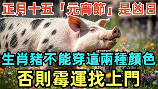 正月十五「元宵節」是凶日，生肖豬不能穿這兩種顔色，否則霉運找上門！#屬相 #生肖 #命理 #運勢 #風水