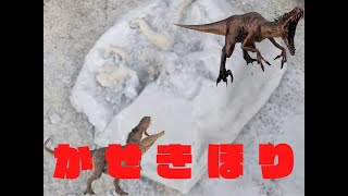 化石掘りしてみた！I tried digging fossils！【づっきーchannel】