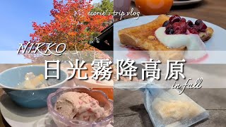 日光霧降高原1泊２日/明治の館/TAOYA/竜頭の滝