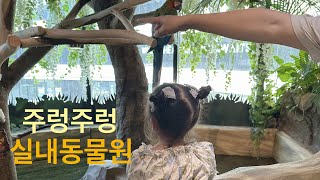 [육아브이로그] 주렁주렁 동탄 실내동물원 테마파크