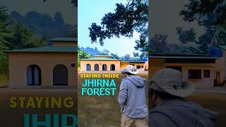 Jhirna FRH Jim Corbett #shorts #walkintothewild #tiger #viral