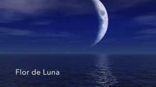 Flor de Luna. Spanish Guitar Best Hits. Paco Nula