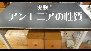 [中一理科実験]アンモニアの性質