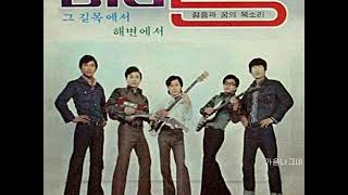 BIG5  -  방랑의 노래 (희귀곡) 1972