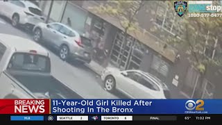 11-year-old girl killed by stray bullet in Bronx