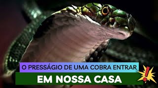 O Presságio de uma Cobra entrar em nossa casa 🏠 🐍