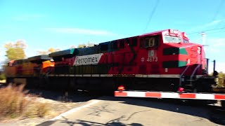 Ferromex Train Meets CSX Train! Fast Amtrak Train Speeds By! Giant 2 1/2 mile Long NS Train! + More!