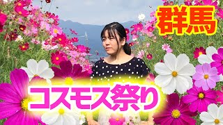 【群馬県/観光】40万本のコスモス祭り　鼻高展望花の丘