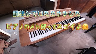 パンダモドキのこみんかこうみんかん〜古民家公民館〜廃校小学校のピアノが調律で復活、そして名前が決定！♯落日♯ライオンキング