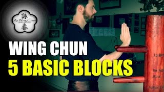 Wing Chun Five Basic Blocks