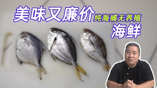 三种纯海捕无养殖海鲜，美味又廉价，全国都能买到的海鱼