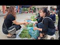 Taking care of the vegetable garden, picking fern vegetable to sell at the market