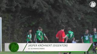 SC Schwarzenbek - Meiendorfer SV (2. Runde ODDSET-Pokal) - Spielszenen | ELBKICK.TV