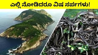 ಎಲ್ಲಿ ನೋಡಿದರೂ ವಿಷ ಸರ್ಪಗಳು? | ಸ್ನೇಕ್ ಐಲ್ಯಾಂಡ್ | Fact Kannada