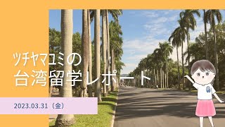 【ﾂﾁﾔﾏﾕﾐの台湾留学レポート】ゴミ捨て事情　台北・新北編