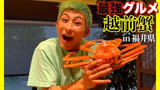 【福井グルメ①】越前ガニ！！蒸し蟹からしゃぶしゃぶ蟹、蟹食べすぎて満足超えた。