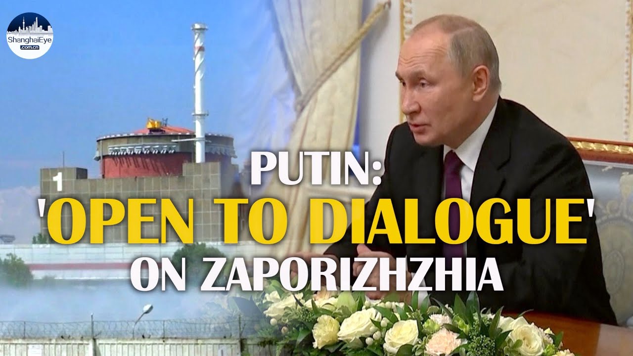 Putin, Grossi Meeting: Russia 'open To Dialogue' Over Zaporizhzhia ...