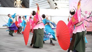 静岡大学よさこいサークル お茶ノ子祭々 ♪繋桜 @ KOBE ALIVE 2021 (決勝①) 2021-10-10T17:38