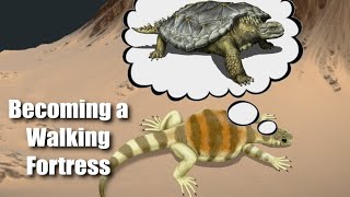 How Turtles Evolved a Shell