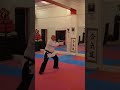 hasso gaeshi tsuki and henka practice