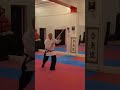 hasso gaeshi tsuki and henka practice