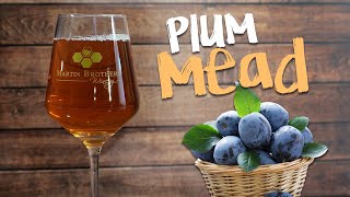 Very Tasty Plum Mead Recipe for Homebrewers!