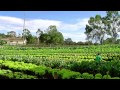 Cómo Administrar un Granja Agrícola Orgánica - TvAgro por Juan Gonzalo Angel