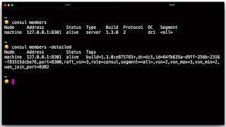 Getting Started with Consul: Run the Consul Agent