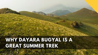 Why Dayara Bugyal Is A Great Summer Trek | Not Just a Winter Trek! | Indiahikes