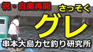 再開の串本カセ・グレ釣りからスタート