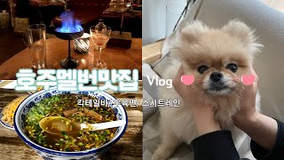 [Australia Vlog] Hot place Cocktail bar, cute puppy MOMO, Melbourne H\u0026M, ZARA, Melbourne City Life.