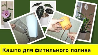 Какое кашпо выбрать для фитильного полива. Как сделать кашпо самостоятельно.