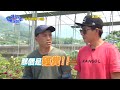 【請問今晚住誰家】ep530 一典打工入花園 怪怪癖好大曝光 ？！王傳一、陳漢典 週一至週四晚間10點 東森超視33頻道