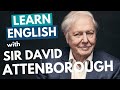 Learn Sir David Attenborough's British English Accent | Received Pronunciation