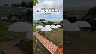 🚨India's Biggest Agro Tourism Spot | Baswant Garden Nashik #shorts