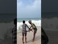 dhanushkodi fishermen safely release turtles that were caught in the nets into the sea saveturtles