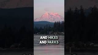 This Is Why People LOVE To Live In Olympia Washington!