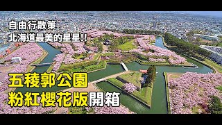 【北海道】自由行散策北海道最美的星星!!五稜郭公園粉紅櫻花版開箱