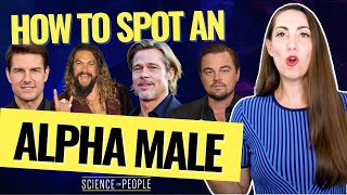 What is an Alpha Male? 8 Alpha Cues from Jason Momoa, @TonyRobbinsLive,  Brad Pitt, and more