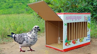 Easy Trapping! Simple Quick Pigeon Trap Make From Cardboard Box