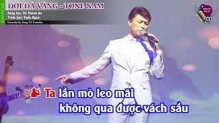 ĐỜI ĐÁ VÀNG - KARAOKE  TONE NAM - TUẤN NGỌC - VŨ THÀNH AN - Song Võ Karaoke
