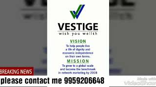 Vestige బిజినెస్  తెలుగు ప్లాన్.