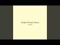 Twilight Whisper Breeze