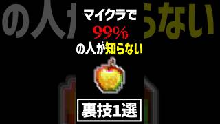 【マイクラ】 99%の人が知らない裏技1選...Part3 【裏技,小技,豆知識,統合版,カイトをフォローしてるから,パカ様パロディー】