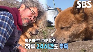 무인도 섬총사의 자급자족 황도 라이프