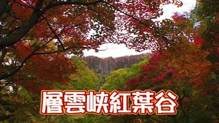 層雲峡紅葉谷の紅葉2020/10/8