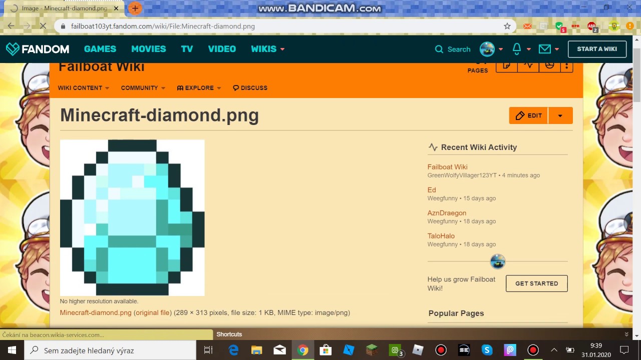 Fandom Wiki Fandom Wiki
