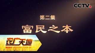 《农广天地》 乡村振兴 永联启示录 第二集 富民之本 20190723 | CCTV农业