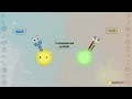 b cell receptors vs t cell receptors overview