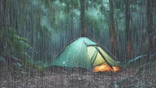 Rainy Camping Backpacking The sound of rain falling on the tent Thunder asmr